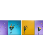 petale5-2-b
