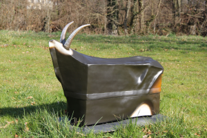 CODE: TC001 | Tétra-Chèvre Noire